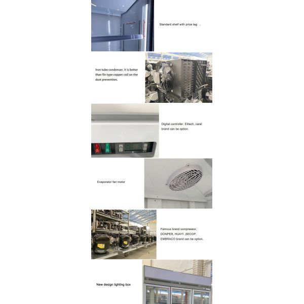 -18 To -20 2 /3/4 Door Top Mount Showcase Upright Refrigerator Freezer For Supermarket