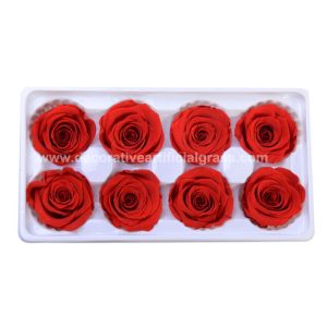 Dehydrated Eternal Long Lasting Roses In A Box Non-Toxic