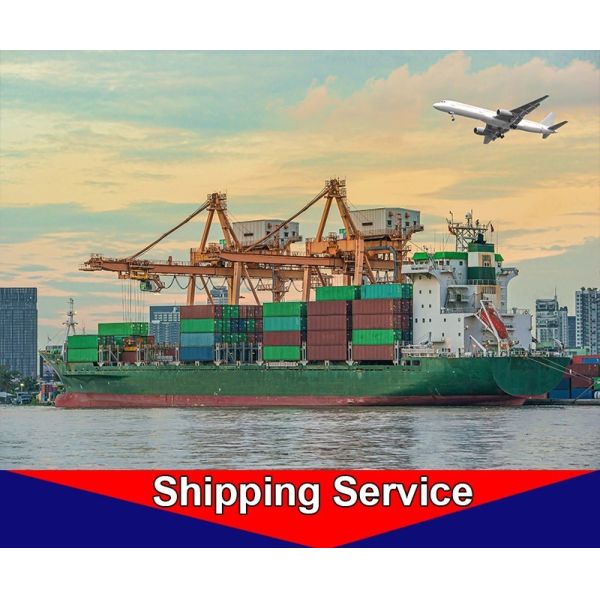 Global Container Freight Forwarder , Overseas Shipping Services Shenzhen To