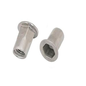 M6 M8 18-8 Stainless Steel 304 316 Plain Semi Hex Flat Head Rivet Nuts