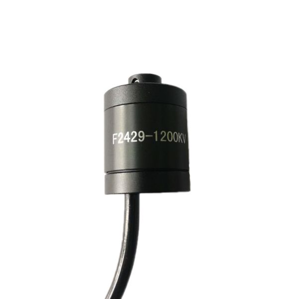 Faradyi New Product Waterproof IP67 12V 24V Dc Brushless Underwater Motor With