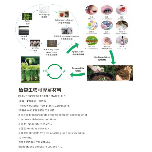 Custom Colorful star Eco Friendly Face Glitter Powder For Biodegradation Leather Decoration