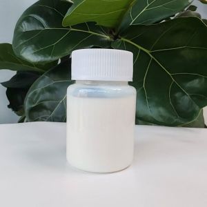 Aliphatic Waterborne Polyurethane Dispersions For Mechanically Frothed Foams