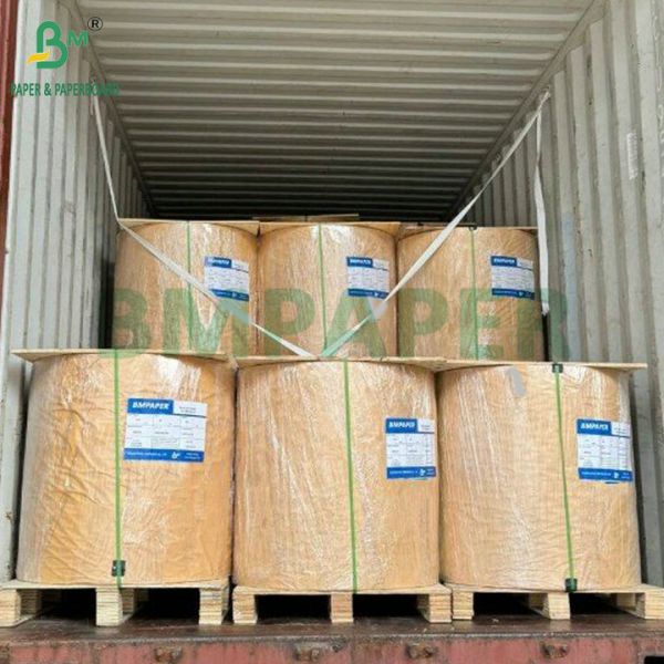 185gsm 210gsm White Kraft PE Coated Cup Paper For Making Paper Drink Cups 185gsm 210gsm White Kraft PE Coated Cup Paper For Making Paper Drink Cups