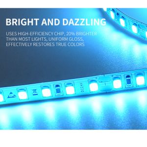12/24VDC 630nm 12W IP65 25LM Waterproof SMD LED Strip