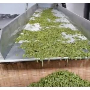 Fly Larvae BSF Larva Sterilizatio Microwave Drying Machine PLC Control