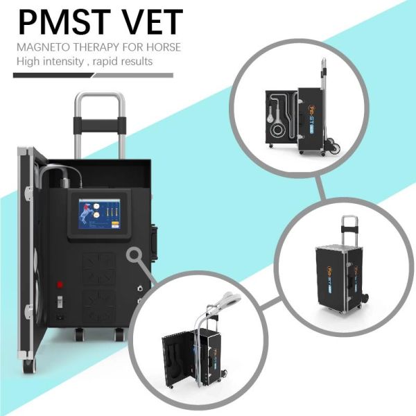 EMTT Shockwave Therapy Machine 4 Tesla Veterinary Device For Horse Muscle