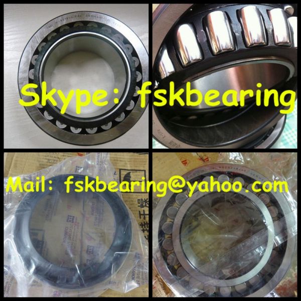Double Row 579905AA Concrete Mixer Truck Bearings Iran Market
