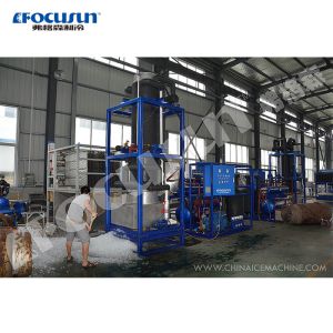Condition 15 Tons Capacity Tube Ice Making Machine with Packing Machine 4690kg