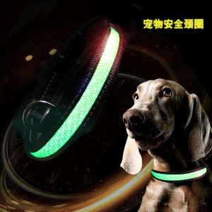 C910 New Pet Product Customs Iluminous Nylon Printed Flashing LED Usb Rechargeab
