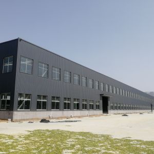 Prefab Steel Structure Building for Warehouse Workshop Customizable