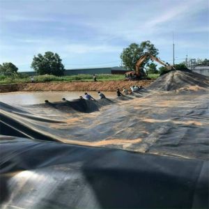 ASTM GRI-GM13 Standard Black Pool Liner 60 mil HDPE Liner for Fish Pond Project