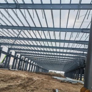 Customized Steel Structure Warehouse Building , Industrial Steel Frame Building