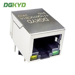RJ45 Socket Modular Network Interface Gigabit Ethernet Filtering DGKYD111Q070CB1