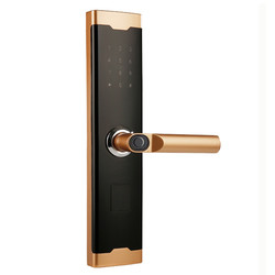 Fingerprint Electronic House Main Door Lock With Fingerprint Passcode