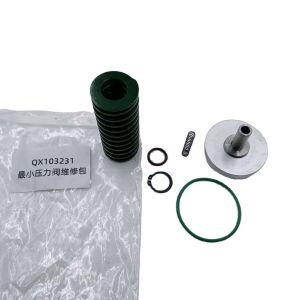 China Gardner Denver QX103231 Industrial Air Compressor Spare Parts Min. Pressure Valve Kit on sale