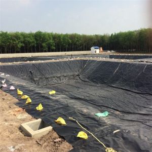 Waterproofing Polyethylene Pond Liner with Both Side Smooth Surface and 1mm