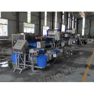 High Capacity 2.25kw Green Onion and Cucumber Slicing Machine with Big Advantage