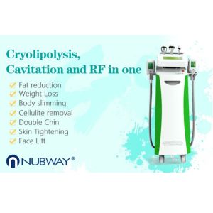 Professional CE approved 5 Handles cryolipolysis fat freezing body slimming