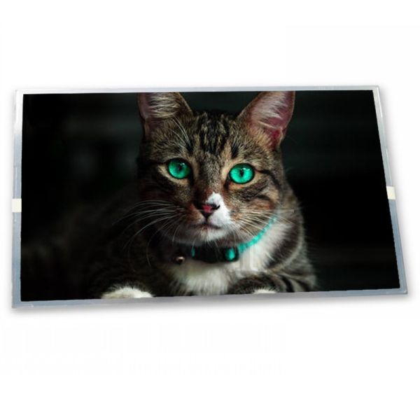 800(RGB)*480 6.2 Inch A-Si TFT-LCD New High Quality Touch Screen Panel