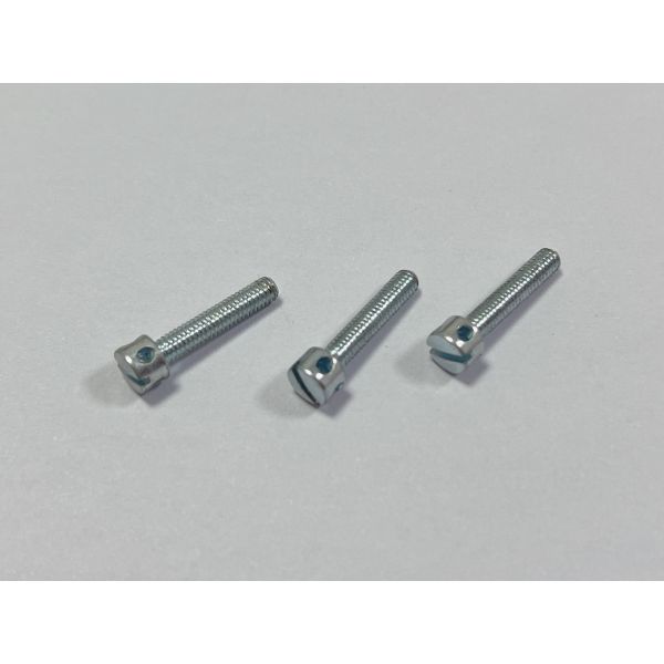 Quality Customize Your Design and Drawing with Coarse Thread Electric Meter Screws 0.2kg wholesale