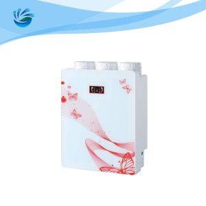 China Water Domestic RO Machine Water Purifier Home Water Purification System on sale