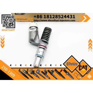 Inyectores Common Rail Diesel Fuel Injector 2501309 250-1309 10R3258 10R-3258