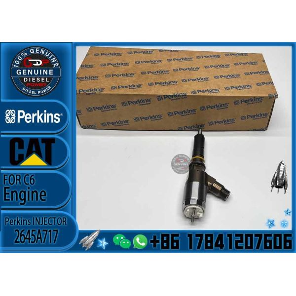 Quality original 321D 323D excavator C6.4 C6.6 engine injector 2645A717 fuel injector 3172300 317-2300 wholesale