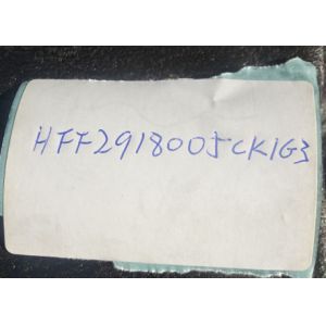 FOTON ANKAI High quality balanced shaft housing HFF2918005CK1G3