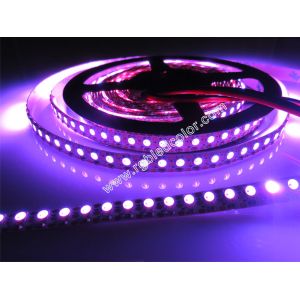 high brightness 3535 mini rgb led strip ws2812b