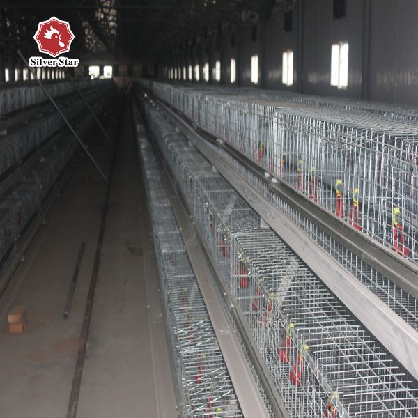 Hot Galvanized Full Automatic Baby Chick Cage