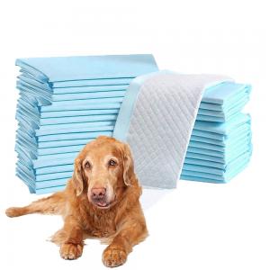 China Small Animals Protection Odor Eliminating Scented Pet Training Urine Absorbent Pad on sale