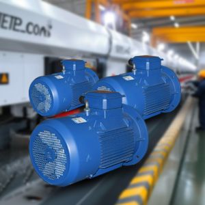 Energy Generators Brushless DC Motor Low Speed Wind Turbine Generator 22kw