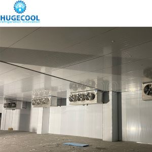50 Tons Capacity Cold Room for Frozen Fish Walk in Freezer Customized Request