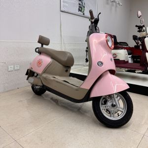 China High Appearance Two Wheeled Electric Moped Comfortable Seat Women's Exclusive e trikes for seniors on sale