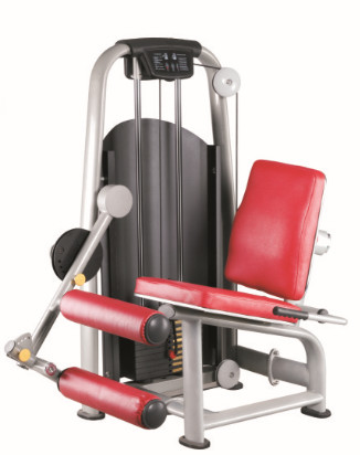 Quality Seated Leg Curl wholesale