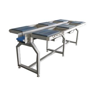 China Stainless Steel Vegetable Sorting Table and Conveyors Vegetable Preparation Table 0.74 kW on sale