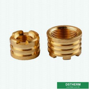 Female Brass Inserts Customized Designs For Ppr Fittings