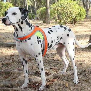 Customized Hot selling Pet Leash Set With Reflective Strips Comfortable