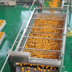 High Quality Customizable Orange production plant New fruit Juice Processing