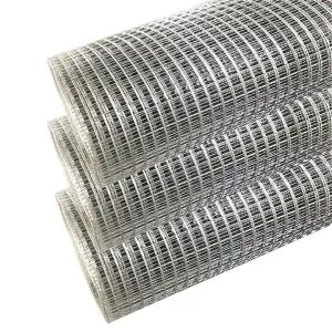 Direct Supply Stainless Steel Welded Wire Mesh Roll Galvanized Welding for