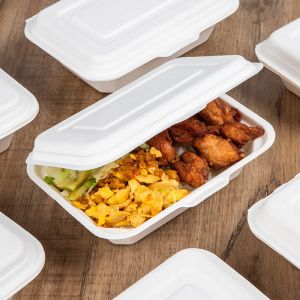 Food Packaging Sugarcane Bagasse Lunch Box Containers For Salad