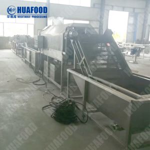 Fruit And Vegetable Processing Machinery Leafy Vegetable Cleaning Machine Tomato