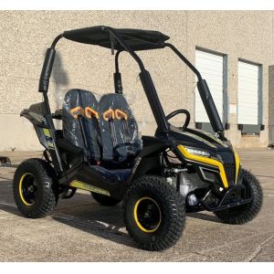 200cc Mini Go Kart Buggy Fully Automatic With Reverse