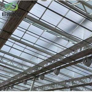 Juxiang's Humidity-Controlled Planting Facility The Perfect Solution for Plant