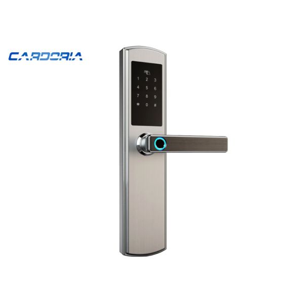 Quality App Control Alexa Enabled Smart Lock , Swipe Card Entry Alexa Enabled Door Lock wholesale