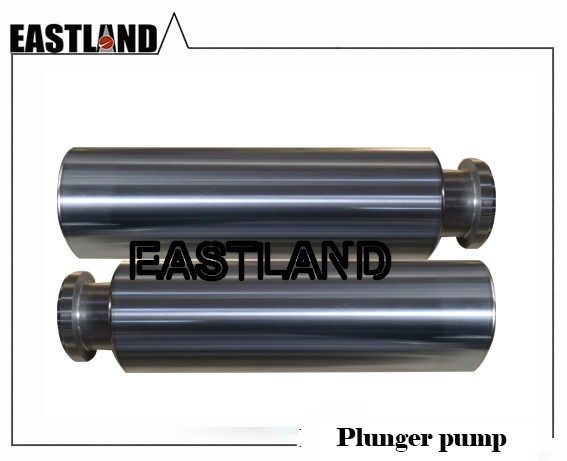 Quality SPM TWS600 Triplex Cement Plunger Pump Chrome-plated Plungers wholesale