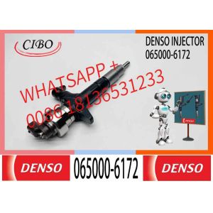 Diesel Engine Fuel Injector 065000-6172 Common Rail Injector 8-98055863-2 Engine