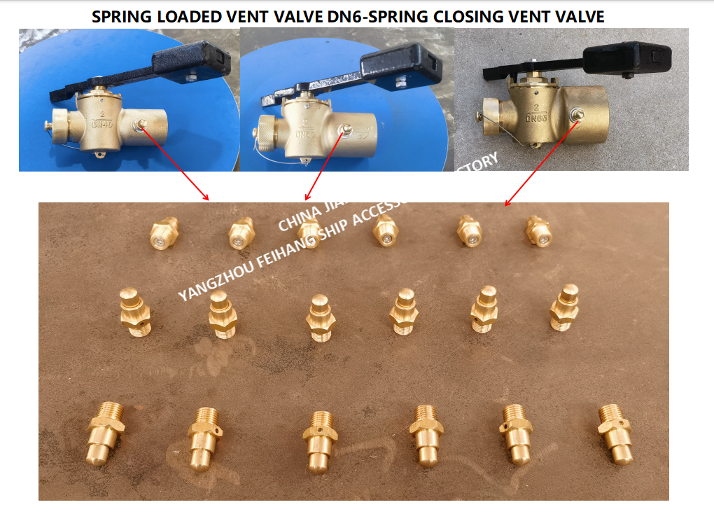 DN6 Spring Loaded Vent Valve with Threaded Ends Compliant with CB/T3778-1999