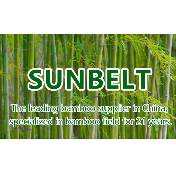 Transform Your Home with Our Sustainable Bamboo Floor Mat